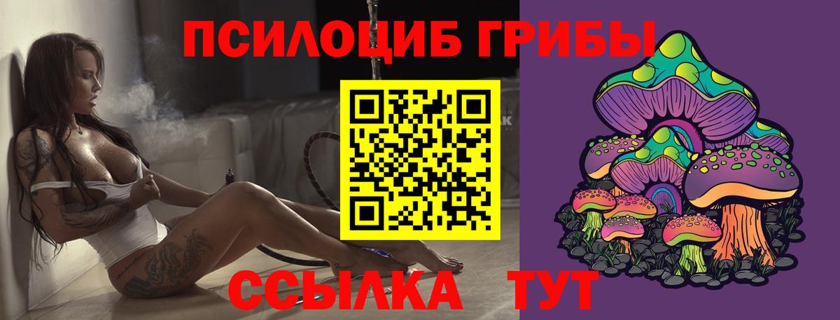 Краснокаменск  Галлюциногенные грибы MAGIC MUSHROOMS  наркотики  Вход с VPN 